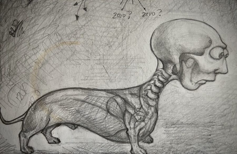 Drawings